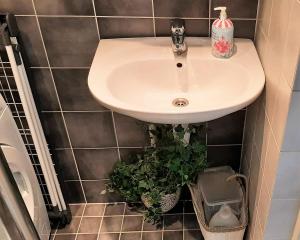 a bathroom with a sink and a potted plant at Apartement Endla in Pärnu