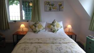 Foto dalla galleria di Southdown B&B a Clovelly