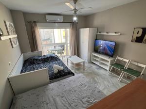 Telewizja i/lub zestaw kina domowego w obiekcie Genuar Apartments Malaga Center 2