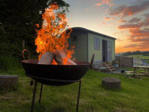 a fire pit in the grass with a house in the background at Luxury Shepherd Hut on small South Hams farm, Devon in Modbury