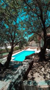 una piscina en un patio con árboles en Villa Los Almendros Rural, en El Padul