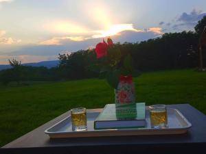 Príroda v okolí apartmánu