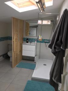 een badkamer met een douche, een wastafel en een toilet bij Chalet basque 6 couchages centre ville Biarritz in Biarritz