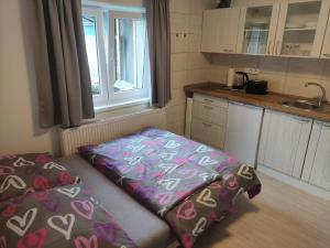 Fotografie z fotogalerie ubytování Apartmán Oto 1 Apartmán Oto 2 Úpská 490, Svoboda nad Úpou ve Svobodě nad Úpou