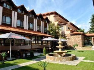 a hotel with a fountain in front of a building at Spa Hotel Ivelia in Dŭbnitsa