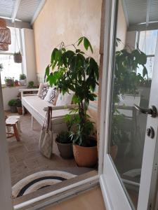 a door open to a living room with potted plants at Aretousa Deluxe Downtown Apartment in Skala