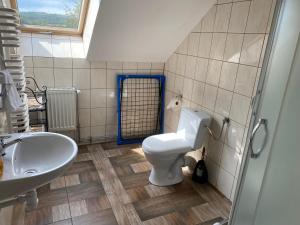 a bathroom with a toilet and a sink at Babie Lato in Leśna