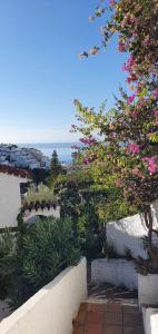 widok na ogród z kwiatami i roślinami w obiekcie AP339 Alhama-La Oliva w mieście Nerja