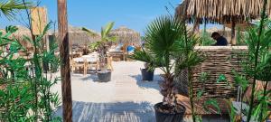 a resort with tables and chairs and palm trees at Sea Sound Apartment Mamaia Nord in Mamaia Sat/Năvodari
