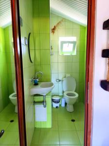 a green bathroom with a toilet and a sink at ART STUDIO capitain in Sinemorets