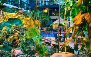 魁北克市的住宿－魁北克酒店，一座花园,花园内种有植物,游泳池位于一座建筑中