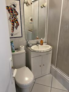 a bathroom with a toilet and a sink and a mirror at Hauteurs de Trouville - Studio avec terrasse au calme in Trouville-sur-Mer +7 photos
