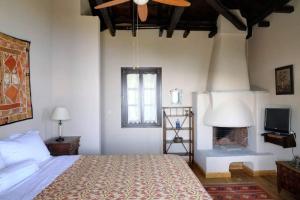 a bedroom with a bed and a fireplace at Bird's eye-view in Zagora +51 photos