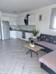 Kuchyň nebo kuchyňský kout v ubytování Apartments Ledic