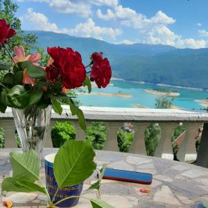 a vase of flowers sitting on a table with a view at Pansion Renata in Prozor