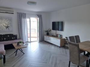 TV a/nebo společenská místnost v ubytování Apartments Ledic