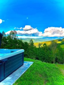 a swimming pool sitting on top of a green field at Chalet Bergblick in Sankt Blasen