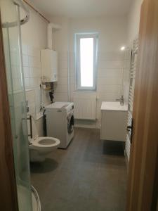 a bathroom with a toilet and a sink at FlóDá Ház in Sopron