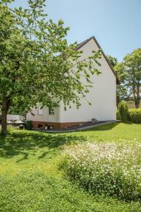 a white building with a tree and a grass field at Haus Meßmer in Bad Dürrheim