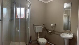 a bathroom with a shower and a toilet and a sink at Ncotshane BnB in Pongola