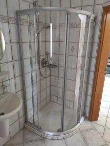 a shower in a bathroom with a sink at Ferienwohnung am Trillenbühl in Salem +6 photos