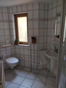 a bathroom with a toilet and a sink at Ferienwohnung am Trillenbühl in Salem