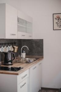 a kitchen with white cabinets and a stove top oven at Gallery Apartment 2 in Martin