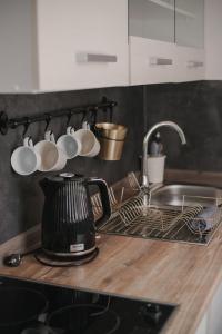 a kitchen counter with a tea kettle and a sink at Gallery Apartment 2 in Martin