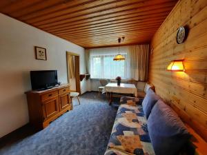 1 dormitorio con sofá y TV en una habitación en Haus Bergblick, en Spiss
