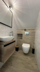 a bathroom with a sink and a toilet in it at Domek na Roztoczu Obrocz 73C z SAUNĄ in Zwierzyniec