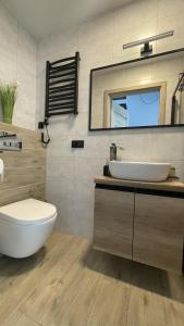 a bathroom with a sink and a toilet and a mirror at Domek na Roztoczu Obrocz 73C z SAUNĄ in Zwierzyniec +51 photos