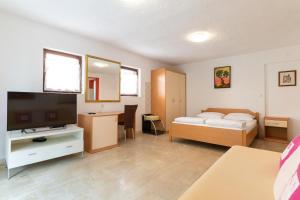 TV a/nebo společenská místnost v ubytování Apartment Milka