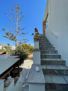 una escalera que conduce a una casa con un árbol en Matina Naxos - Mikri Vigla, en Mikri Vigla