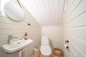 a small bathroom with a sink and a toilet at Villa Merino in Kittilä +21 photos