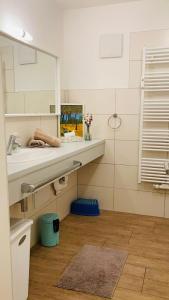 a bathroom with a sink and a mirror at FEWO II Villa Nicole Hafenstraße 37 in Zingst