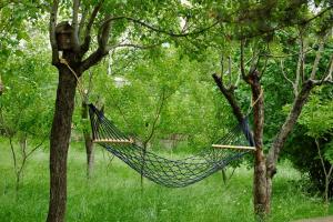 a hammock hanging from two trees in a forest at Dil Hill by Sam in Dilijan