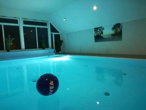 una piscina con un frisbee en el agua en Wellness & Naturstrand (in 800 m), inkl. Pool, en Hof Barendorf 13 fotos más