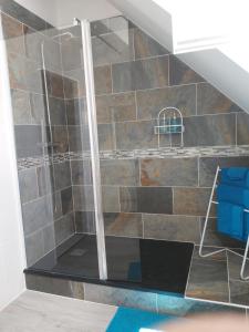 a shower with a glass door in a bathroom at le bonheur des plumes in Montmartin-en-Graignes +39 photos
