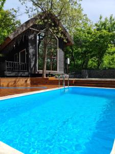 uma piscina em frente a uma casa em Tree House Relax Park em Chisinau