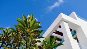 un edificio bianco con un albero di fronte di Villa BLUE PORTOFINO Los Cristianos, POOL a Los Cristianos