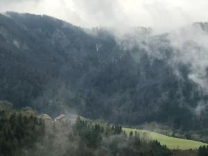 Príroda v okolí dovolenkového domu