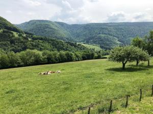 Príroda v okolí dovolenkového domu