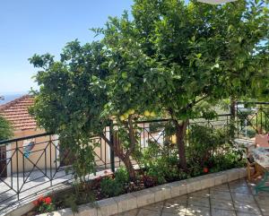 een hek met twee bomen in een tuin bij ΠΗΛΙΟ- ΤΟ ΕΞΟΧΙΚΟ ΤΗΣ ΑΝΝΑΣ- ΑΦΗΣΣΟΣ in Afissos