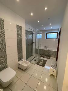 a bathroom with a shower and a toilet and a sink at GÓRSKA ENERGIA in Szczyrk