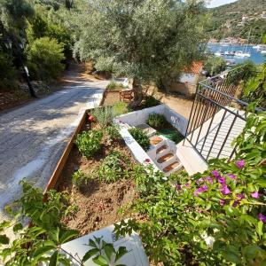 A garden outside Μπουκαμβίλια - Bougainvillea