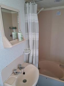 a bathroom with a sink and a shower curtain at Mobilūs nameliai 'Zelma' in Palanga +76 photos