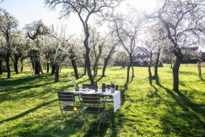 una mesa preparada para una comida en un campo en Gasthaus zum Schwan en Castell