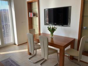 Televízia a/alebo spoločenská miestnosť v ubytovaní Apartmán Emilie - blízko Vysočina Arény