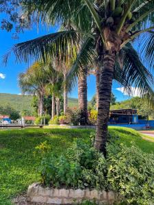 a palm tree in a park with green grass at Pousada Bom Jardim in Estivado