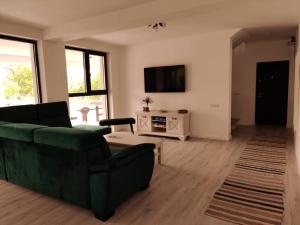 sala de estar con sofá verde y TV en Casa Carolina, en Boiu Mare